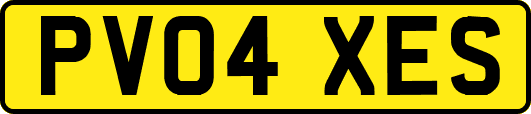 PV04XES