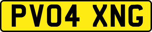 PV04XNG