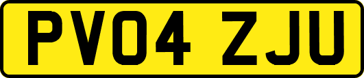 PV04ZJU