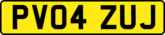 PV04ZUJ