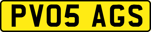 PV05AGS