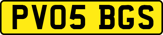 PV05BGS