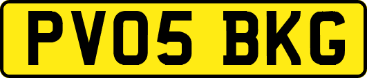 PV05BKG