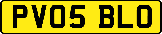 PV05BLO