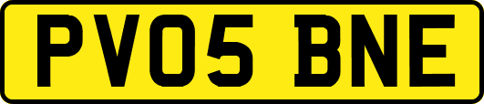 PV05BNE