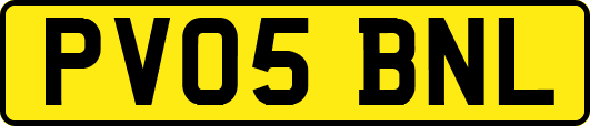 PV05BNL