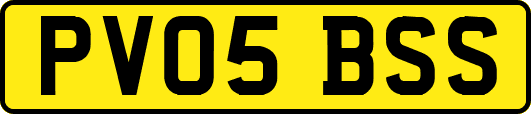 PV05BSS