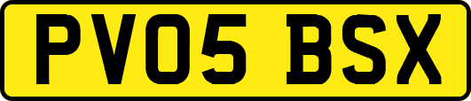 PV05BSX