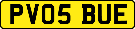PV05BUE