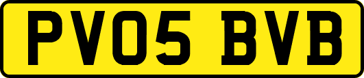 PV05BVB
