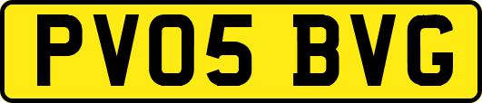 PV05BVG