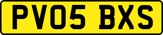 PV05BXS