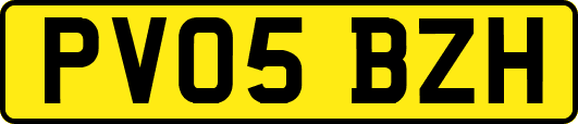 PV05BZH