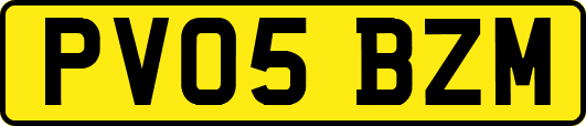 PV05BZM