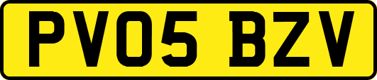 PV05BZV