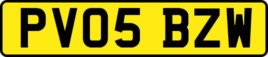 PV05BZW