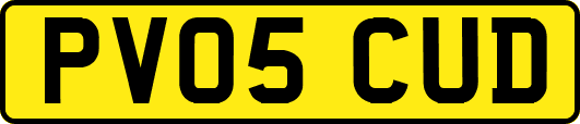 PV05CUD