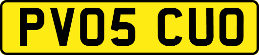 PV05CUO