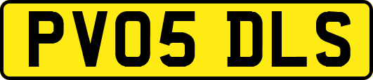 PV05DLS