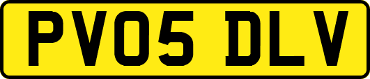 PV05DLV