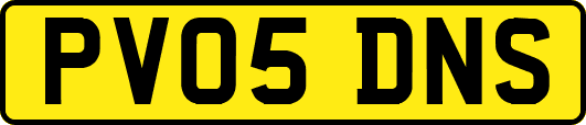 PV05DNS