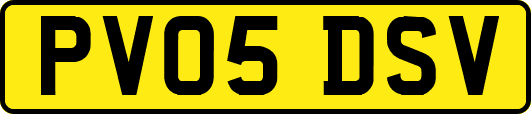 PV05DSV