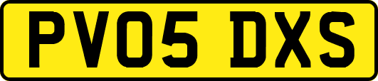 PV05DXS