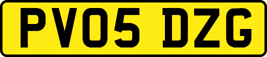 PV05DZG