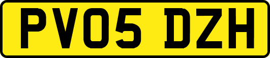 PV05DZH
