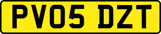 PV05DZT