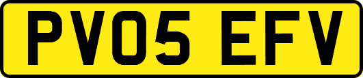 PV05EFV