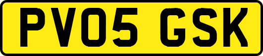 PV05GSK