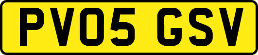 PV05GSV