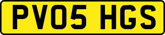 PV05HGS