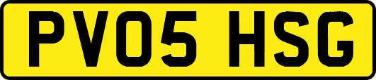 PV05HSG