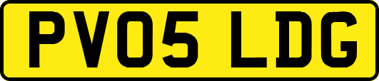 PV05LDG