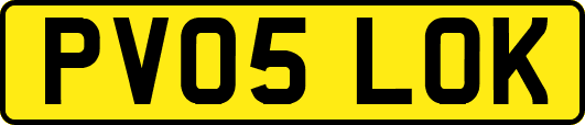 PV05LOK