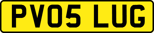 PV05LUG