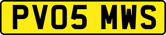 PV05MWS
