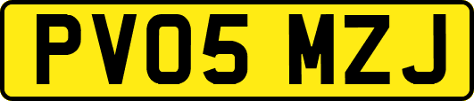 PV05MZJ