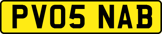 PV05NAB