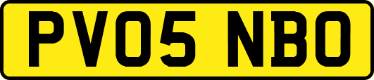 PV05NBO
