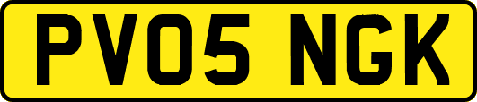 PV05NGK