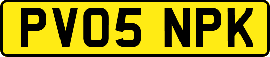 PV05NPK