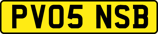 PV05NSB
