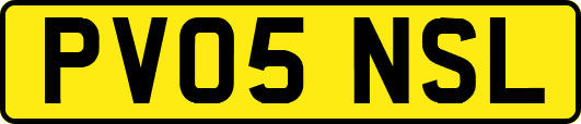 PV05NSL