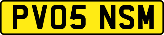 PV05NSM