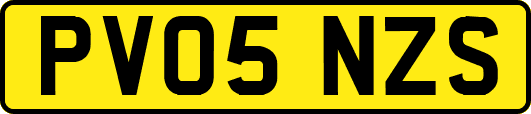 PV05NZS