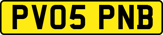PV05PNB