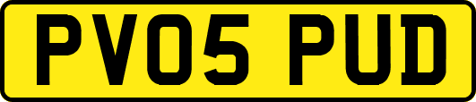 PV05PUD